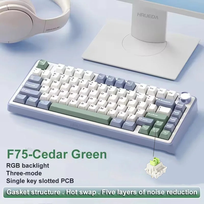 AULA F75 Gaming-Mechanische Tastatur RGB, individuelles 75%-Layout, seitlich gravierte, gasket-montierte 80-Tasten-Tastatur mit PBT-Farbverlaufs-Tastenkappen