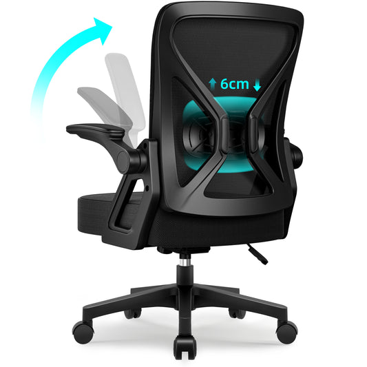 Hiazurm Ergonomic Office Chair, with Adjustable Lumbar Support, 90° Foldable Armrests & Rocking Function, 150kg Capacity