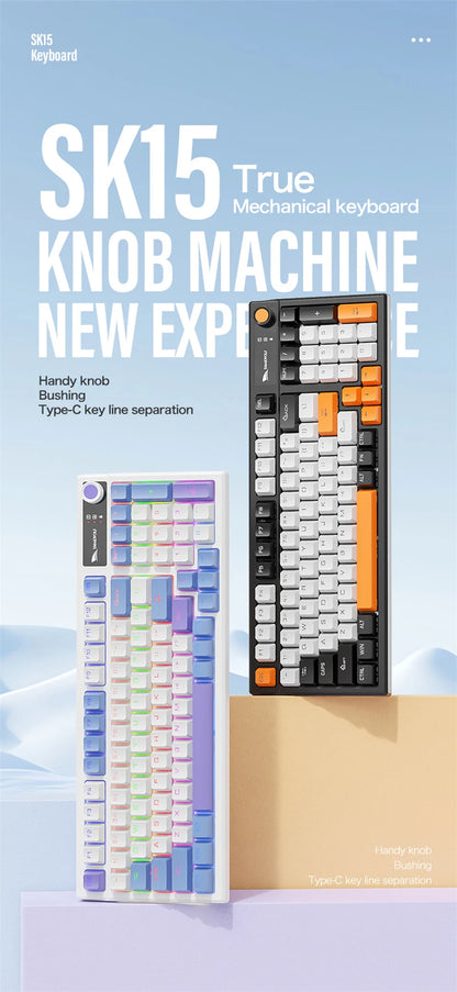 Spanish Mechanical Keyboard Spanish Russian Arabic Korean Thai Gaming Keyboard 95 Key Layout Backlight Type C With Numpad SK15
