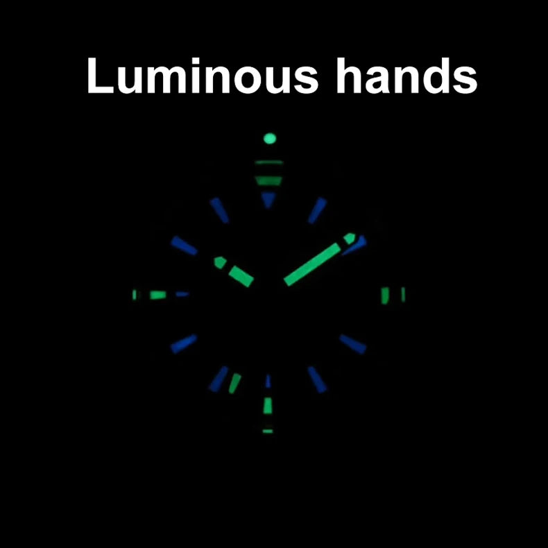 2025 New Brand PAGANI DESIGN 1617 Men's Military Sport Mechanical Watches Waterproof Stainless Steel Top Brand Luxury Men's Watch