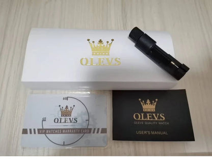 OLEVS Wristwatches Silver Gray Dial Automatic Mechanic Wrist Watch for Men Casual Sports Clock with Luminous relogios masculino