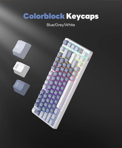RK ROYAL KLUDGE M75 2.4G Wireless/Bluetooth/USB-C Mechanical Keyboard 81 Keys RGB Hot-Swappable Gasket Gamer Keyboard with Screen