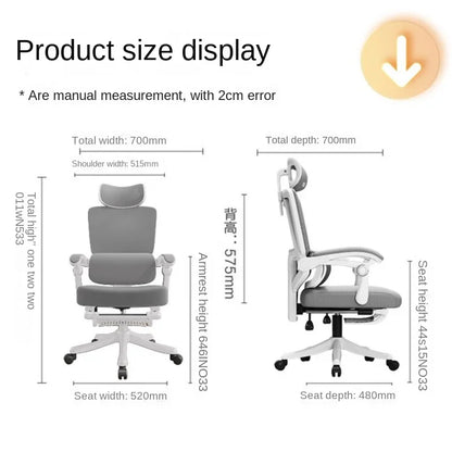 Ergonomic Mesh Office Chair with Lumbar Support, High-Back Computer Desk Chair for Adults, Comfortable Task Chair for Long Hours