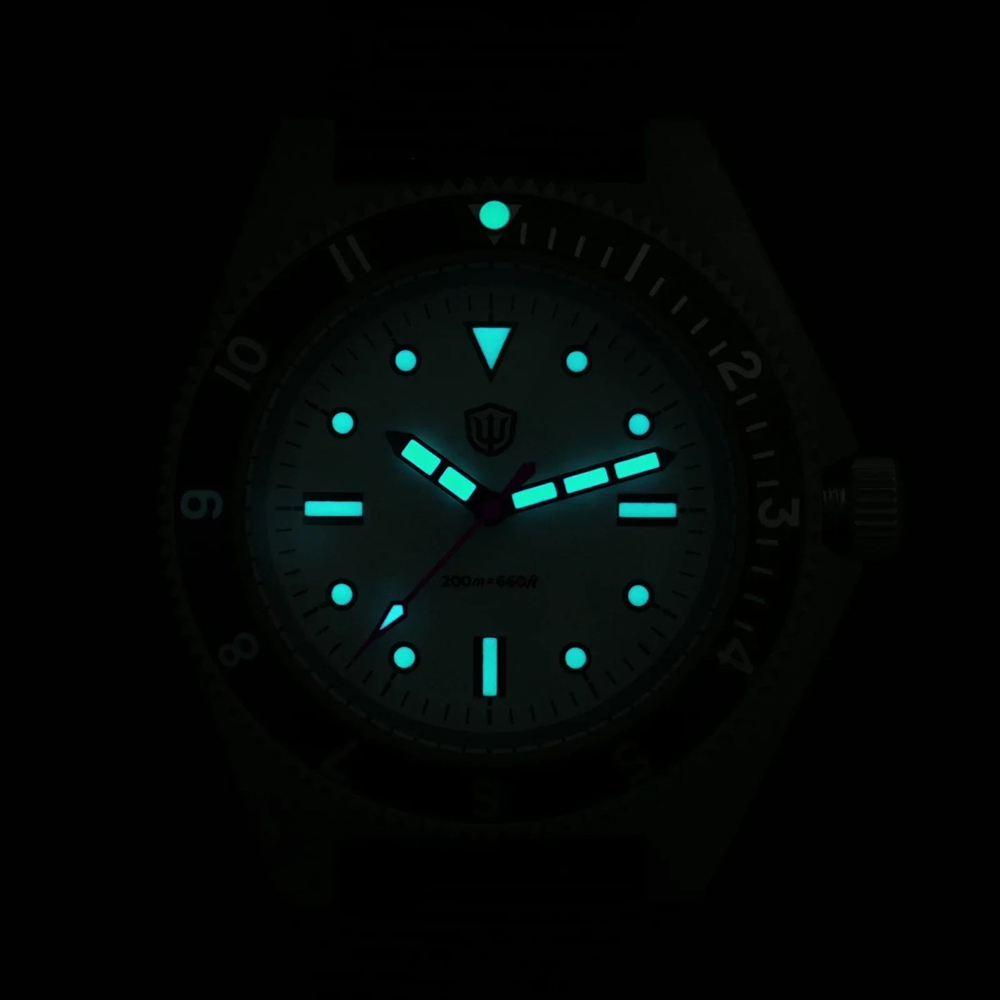 Watchdives WD1972 Quartz Watch VH31 Sweep Seconds Movement Sapphire Crystal BGW9 Luminous 20Bar Waterproof Vintage Men Watches