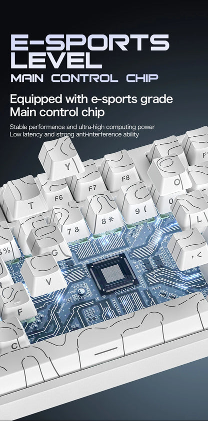 ATTACK SHARK R82HE Gaming Keyboard Magnetic 75% Wired 8000Hz Rapid Trigger ProGamer Keyboard,0.005mm RT Accuracy,0.08ms Latency