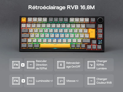 ISO-FR Layout EPOMAKER X AJAZZ AK820 PRO 75% AZERTY French Hot-Swap Wired/BT/2.4GHz Wireless Mechanical Keyboard for Win/Mac/PC