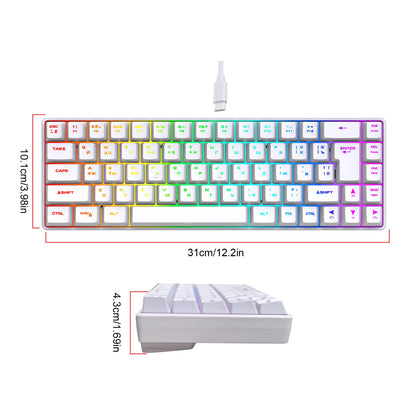 Mechanische Gaming-Tastatur mit 68 Tasten, Russisch/Englisch, zweisprachig, mit RGB-Hintergrundbeleuchtung fürs Gaming