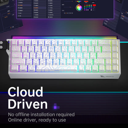 SMAILWOLF SK11 68HE Magnetic Gaming Keyboard Mechanical Wired Professional Gaming 0.01mm Quick Trigger 8KHz 0.25ms RGB Lighting
