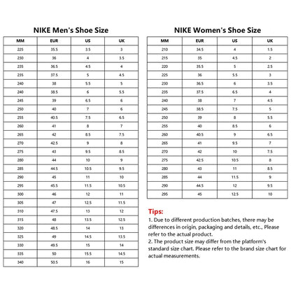 NIKE Men's NIKE C1TY Sport Casual Shoes FZ3863-602