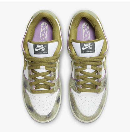 Nike Original SB Dunk Low Pro Unisex Leichte Skate-Schuhe HJ3386-300