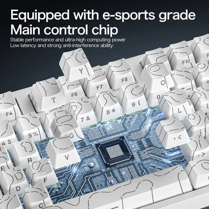 ATTACK SHARK R82 HE kabelgebundene magnetische 75%-Gaming-Tastatur mit RGB, 8000Hz, Rapid Trigger und 0.005mm Auslösung