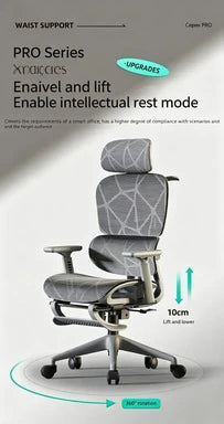 Carpeted Office Chairs Cheap Ergonomic Recliner Chairs Gaming Computer Wheels Free Shiping Adjustable Sedia Da Ufficio Furniture