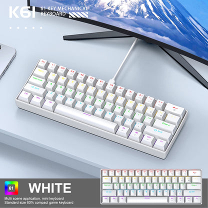APAYADO K61 60% Mini bedraad mechanisch gamingtoetsenbord Phantom RGB, 61 toetsen, red/blue switch, ergonomisch, draagbaar voor pc/laptop