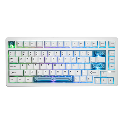EPOMAKER HE80 75% Layout QWERTY US Tastiera meccanica magnetica cablata Hot-Swap Creamy Gasket con effetto Hall, DKS SOCD per PC/Mac