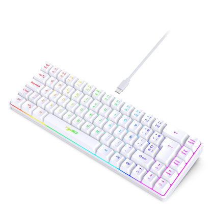 Offerta imperdibile! Tastiera gaming cablata spagnola a 69 tasti con retroilluminazione RGB, design compatto 68%, un accessorio indispensabile per professionisti e gamer