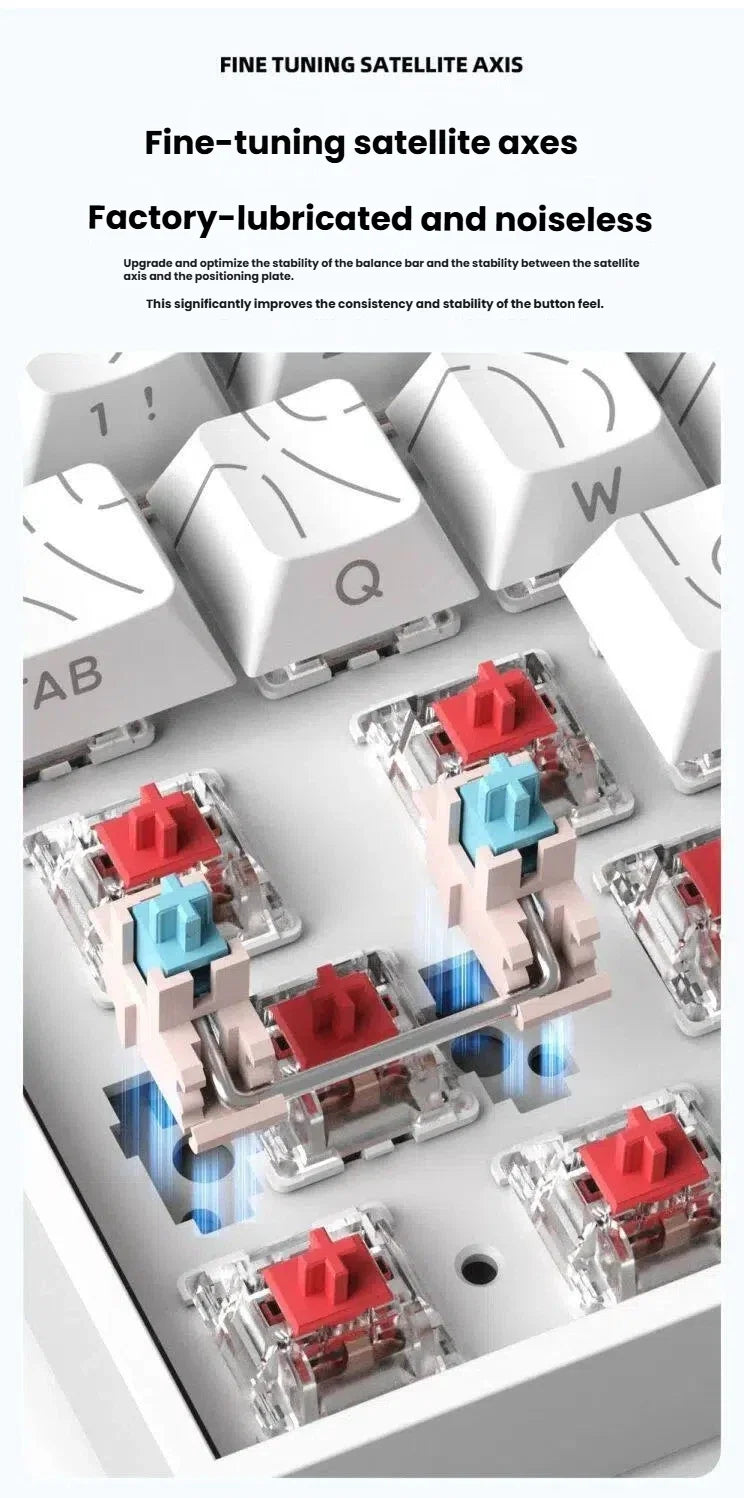 K61 Wired Portable Mechanical Keyboard, Phantom RGB Colorful, Gaming-grade Response, Ergonomic Design, Gaming Office Usable