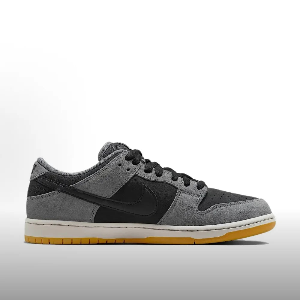 Nike Dunk SB Fashionable, Versatile, Premium Comfort, Durable, Slip-Resistant Low-Top Casual Sneakers HF3063-001