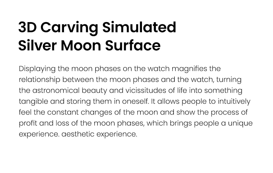 AGELOCER Original Astronomer Watch Men's Business Luxury Gold Watch Automatic Mechanical Moon Phase Watch Birthday Gift for Men