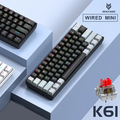 APAYADO K61 60% Mini bedraad mechanisch gamingtoetsenbord Phantom RGB, 61 toetsen, red/blue switch, ergonomisch, draagbaar voor pc/laptop