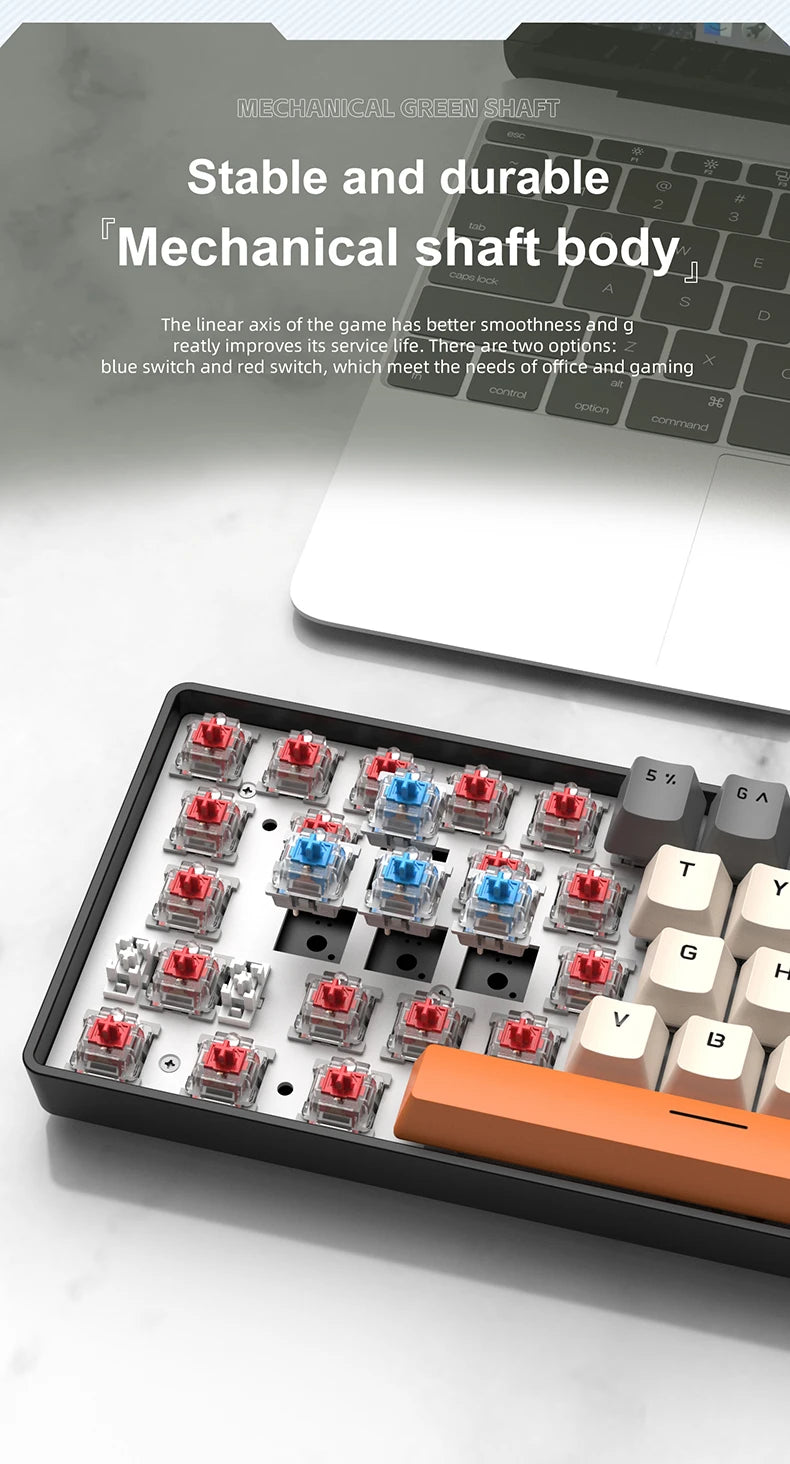 APAYADO K61 60% Mini bedraad mechanisch gamingtoetsenbord Phantom RGB, 61 toetsen, red/blue switch, ergonomisch, draagbaar voor pc/laptop