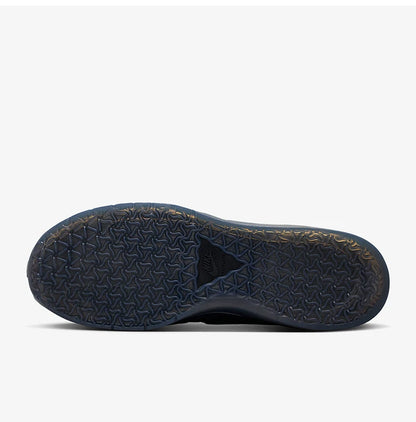 Pánske ležérne a pohodlné nízke ľahké tenisky Nike SB PS8 na skateboard FV8493-402