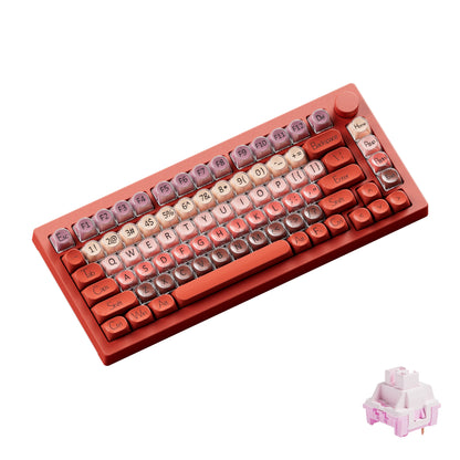 AKKO 5075 X Veekos K75 Gaming Mechanical Keyboard 75% RGB 3/5-Pin Hot Swap Wired Customized Keyboard with Knob Gasket