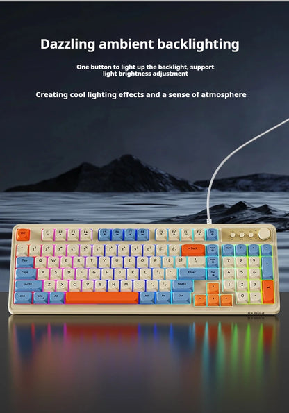 EWEADN G98 Gaming Office Keyboard, film with rainbow Backlit USB Wired Computer External Quiet, Digital area,Digh appearance