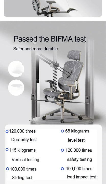 Gaming Chair  Adjustable Relax Ergonomic Office ChairStudy Long Sitting  Cadeira  Silla Gamer Office Supplies Daily Necessities