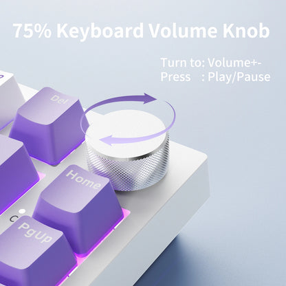 AJAZZ AK820 75% kabelgebundene mechanische Tastatur: Hot-Swap-fähig, RGB-/Weiß-/Eisblau-Hintergrundbeleuchtung, Steuerung per Lautstärkeregler | Für Büro & Gaming